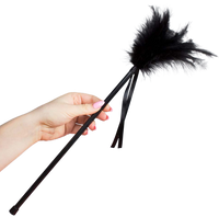 SECRETPLAY - PLUMES NOIRES 40 CM